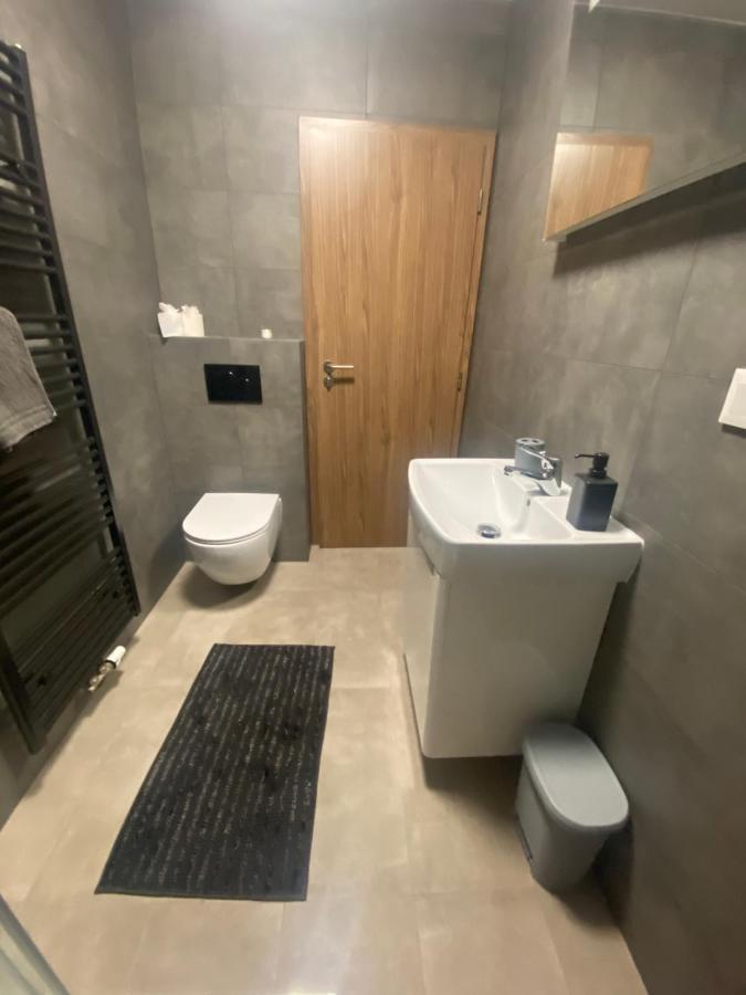 Cerna Ruze- Apartman 5 Plzeň Exterior foto